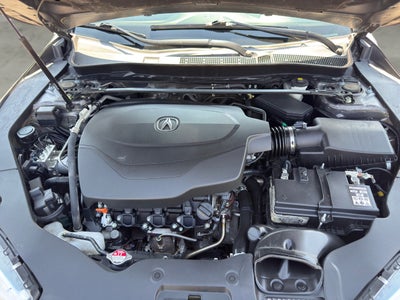 2019 Acura TLX Advance Pkg