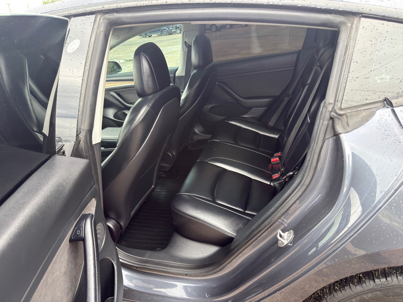 2023 Tesla Model 3 Rear-Wheel Drive