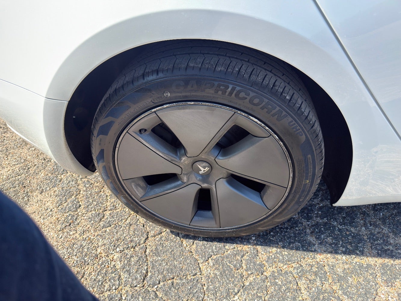 2023 Tesla Model 3 Rear-Wheel Drive