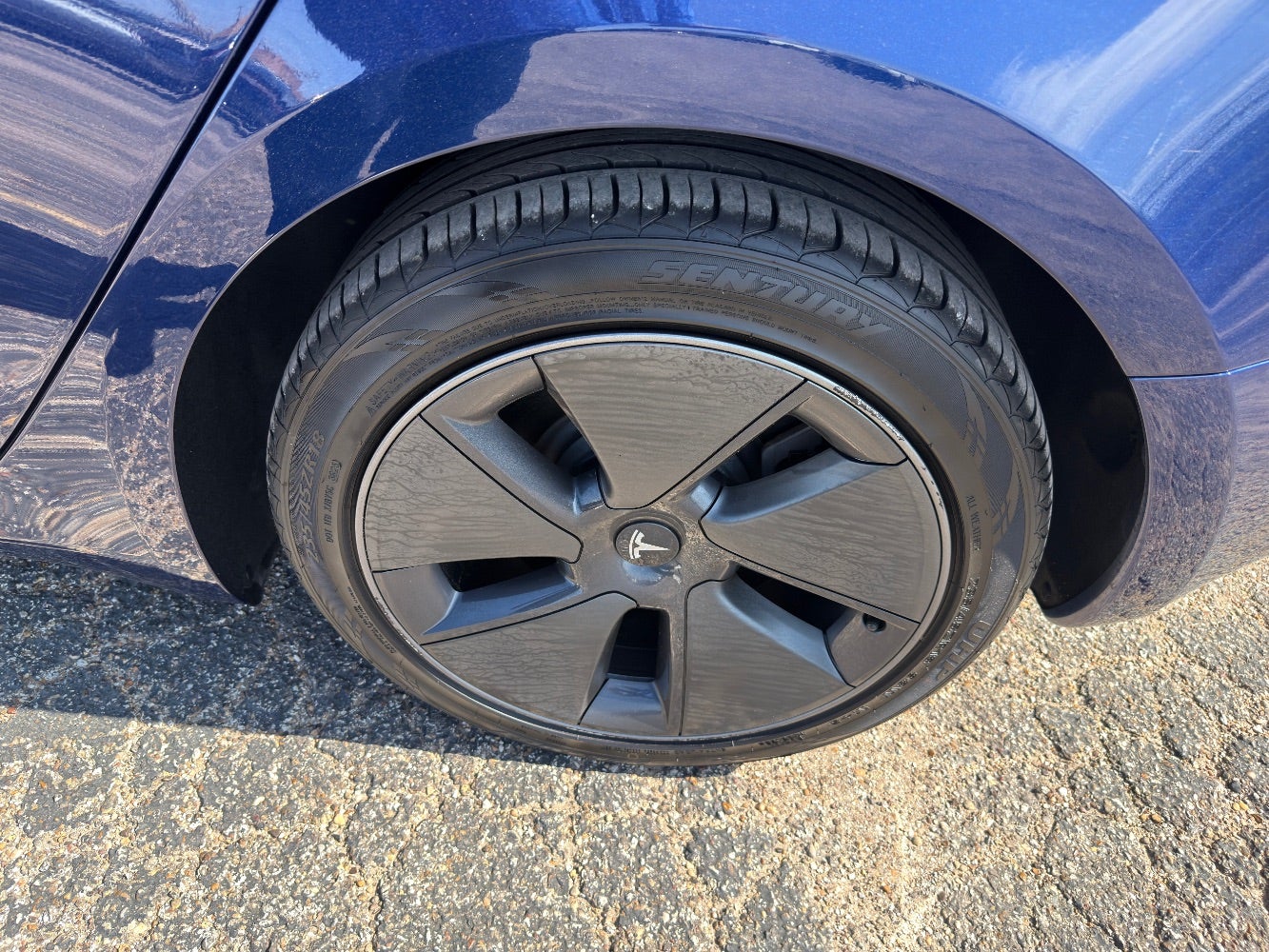 2023 Tesla Model 3 Rear-Wheel Drive