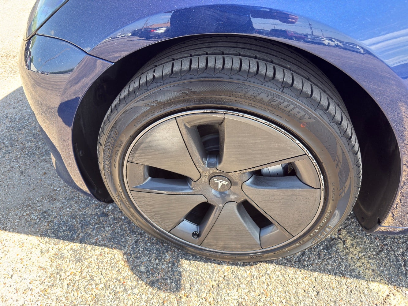 2023 Tesla Model 3 Rear-Wheel Drive