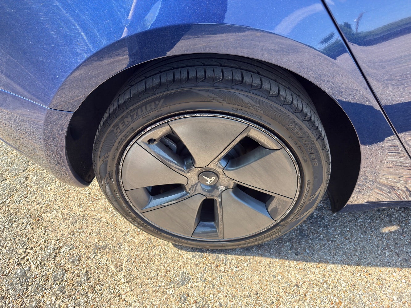 2023 Tesla Model 3 Rear-Wheel Drive